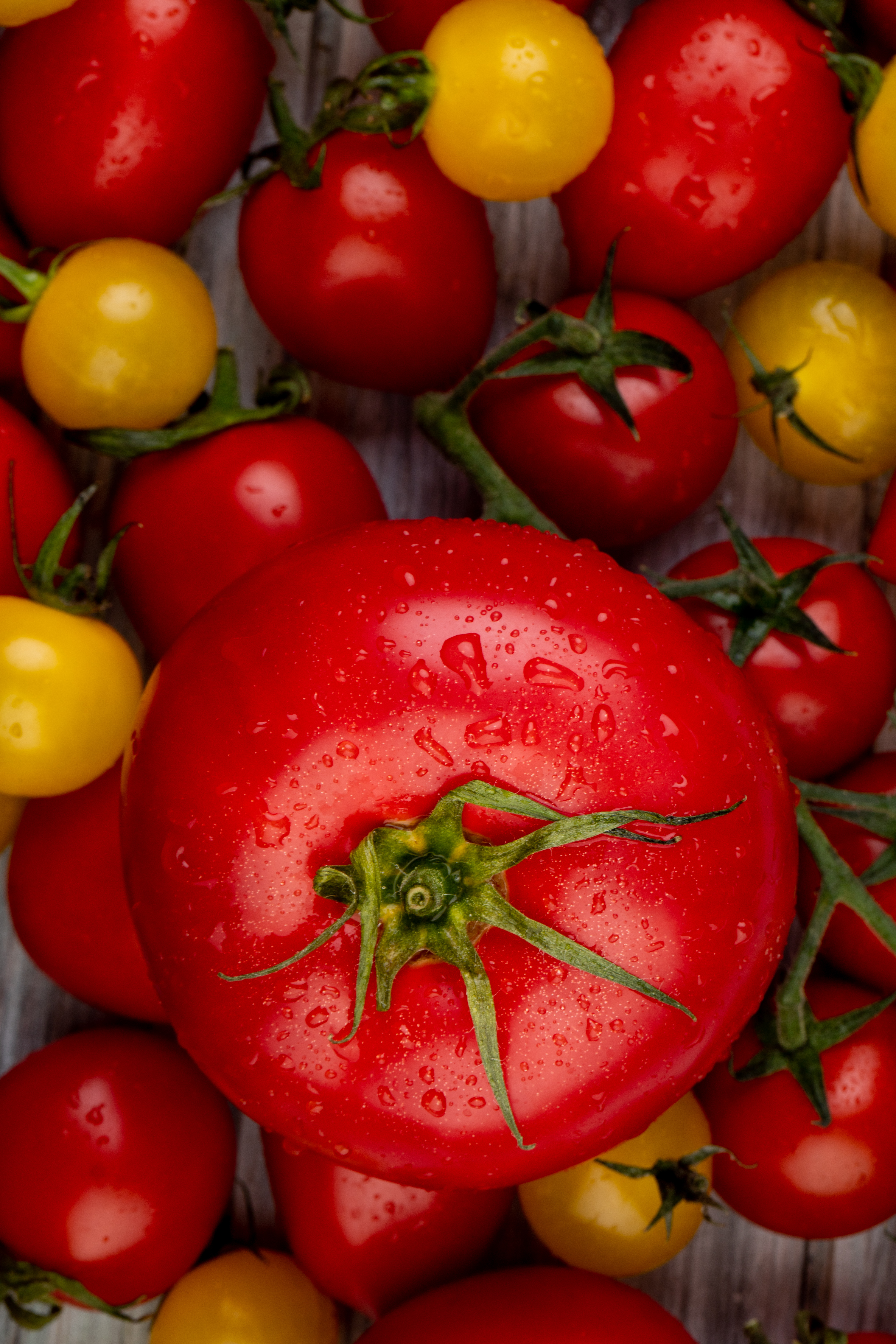 Tomates